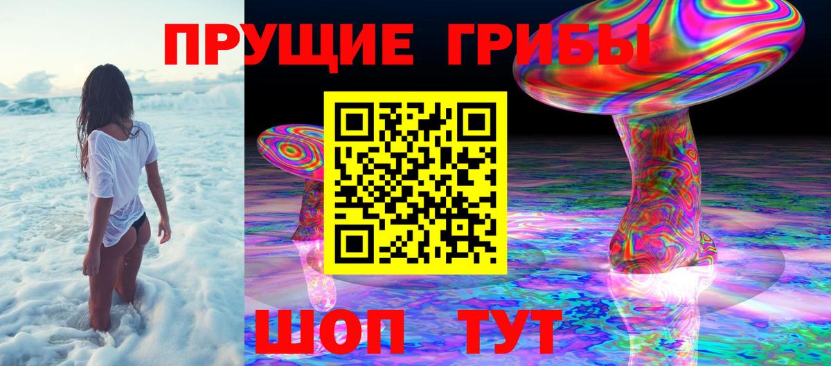Псилоцибиновые грибы Cubensis Чернушка