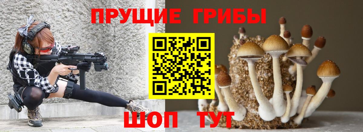 где найти   Вход с VPN  Чернушка  Псилоцибиновые грибы ЛСД 